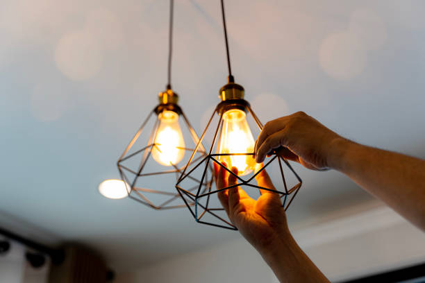 Best 24-Hour Electrician  in Ferrysburg, MI